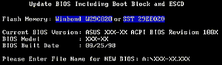 Update BIOS Including Boot Block and ESCD